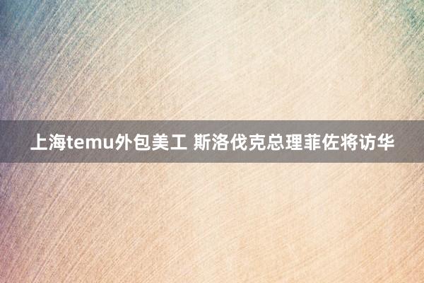 上海temu外包美工 斯洛伐克总理菲佐将访华